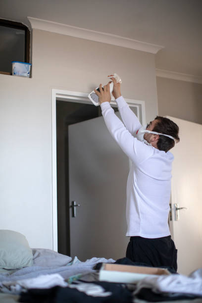 Best Mold Prevention Services  in Vinco, PA