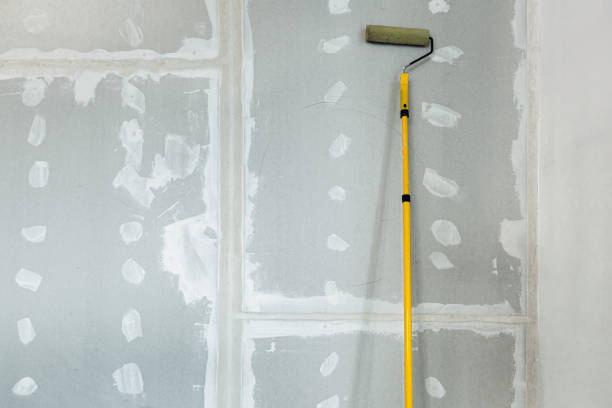 Best Post-Construction Mold Inspection  in Vinco, PA